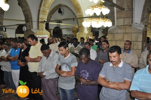 trawe7 7san bek 715 (3).JPG